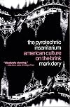 The Pyrotechnic Insanitarium: American Culture on the Brink
