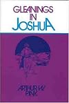 Gleanings in Joshua