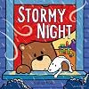 Stormy Night