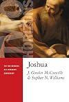 Joshua (The Two Horizons Old Testament Commentary)