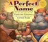 A Perfect Name