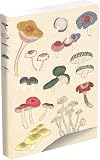 Healing Mushrooms Lined Paperback Journal: Blank Notebook with Pocket