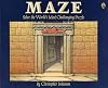Maze: Solve the World's Most Challenging Puzzle