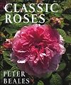 Classic Roses