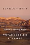 Bewilderments: Reflections on the Book of Numbers