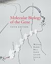 Molecular biology of the gene