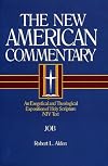 Job (New American Commentary)