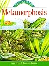 Metamorphosis (Cycles of Life)
