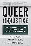 Queer (In)Justice: The Criminalization of LGBT People in the United States (Queer Ideas/Queer Action)