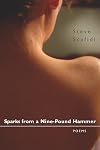 Sparks from a Nine-Pound Hammer: Poems
