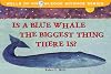 Is a Blue Whale the Biggest Thing There Is?