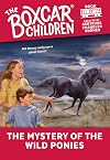 The Mystery of the Wild Ponies
