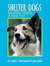 Shelter Dogs: Amazing Stories of Adopted Strays
