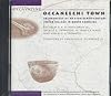Excavating Occaneechi Town: Archaeology of an Eighteenth-Century Indian Village in North Carolina (CD-ROM)