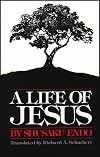 A Life of Jesus