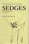 Sedges Cyperus to Scleria