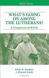 What's going on among the Lutherans? : a comparison of beliefs
