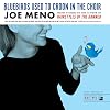 Bluebirds Used to Croon in the Choir: Stories