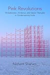 Pink Revolutions: Globalization, Hindutva, and Queer Triangles in Contemporary India