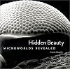 Hidden Beauty: Microworlds Revealed