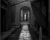 Sanctuary