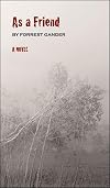 As a Friend: A Novel