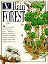 Rain Forest (New View)