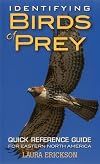 Identifying Birds of Prey: Quick Reference Guide for Eastern North America