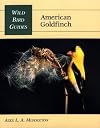 American Goldfinch (Wild Bird Guides)