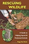 Rescuing Wildlife: A Guide to Helping Injured & Orphaned Animals