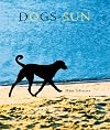 Dogs in the Sun