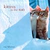 Kittens in the Sun