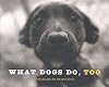 What Dogs Do, Too