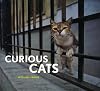 Curious Cats
