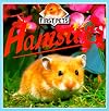 Hamsters (First Pets)