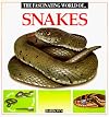 The Fascinating World of Snakes