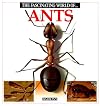 The Fascinating World of Ants