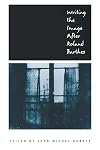 Writing the Image After Roland Barthes (New Cultural Studies)