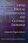 Jewish Biblical Interpretation and Cultural Exchange: Comparative Exegesis in Context