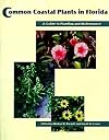 Common Coastal Plants in Florida: A Guide to Planting and Maintenance