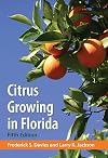 Citrus Growing in Florida