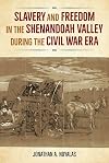 Slavery and Freedom in the Shenandoah Valley during the Civil War Era (Southern Dissent)