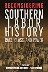 Reconsidering Southern Labor History: Race, Class, and Power