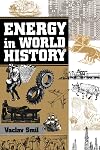 Energy In World History (Essays in World History)