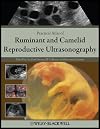 Practical Atlas of Ruminant and Camelid Reproductive Ultrasonography