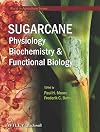 Sugarcane: Physiology, Biochemistry & Functional Biology (World Agriculture Series)