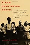 A New Plantation South: Land, Labor, and Federal Favor in Twentieth-Century Arkansas (Carter G. Woodson Institute Series)
