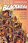 Blackness Is Burning: Civil Rights, Popular Culture, and the Problem of Recognition (Contemporary Approaches to Film and Media Series)