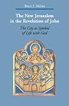 The New Jerusalem in the Revelation of John: The City as Symbol of Life with God (Zaccheus Studies New Testament)