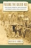 Fueling the Gilded Age: Railroads, Miners, and Disorder in Pennsylvania Coal Country (Culture, Labor, History)